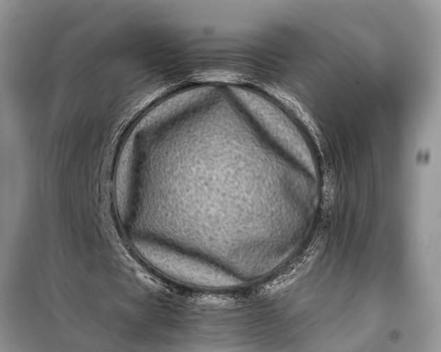 X0000097960529200804071033