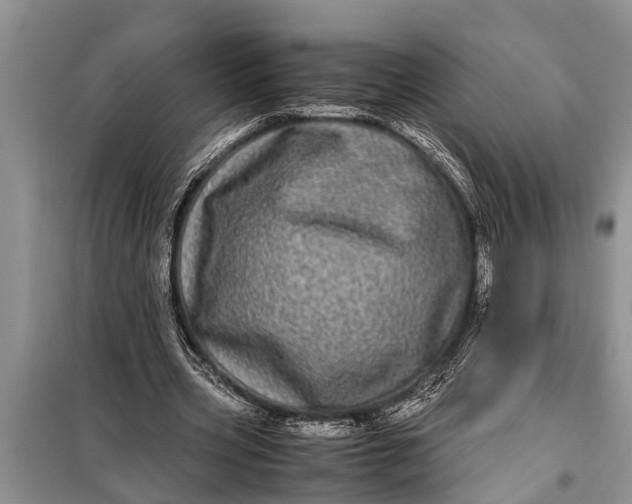X0000097960533200804071033