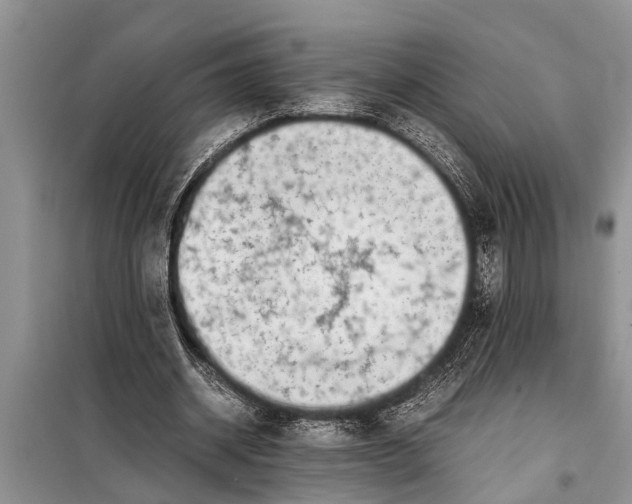 X0000097960534200804071033