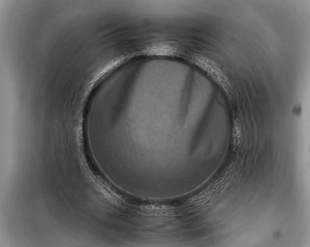 X0000097960535200804071033