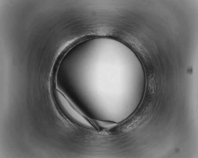 X0000097960536200804071033