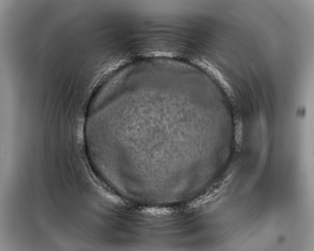 X0000097960537200804071033