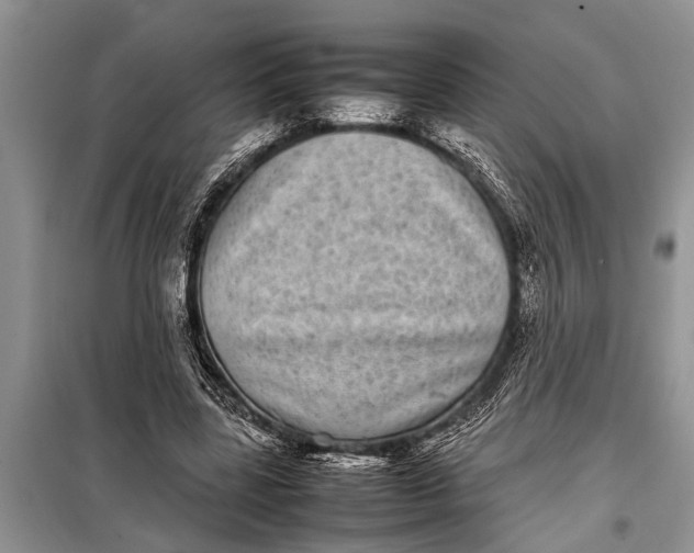 X0000097960539200804071033