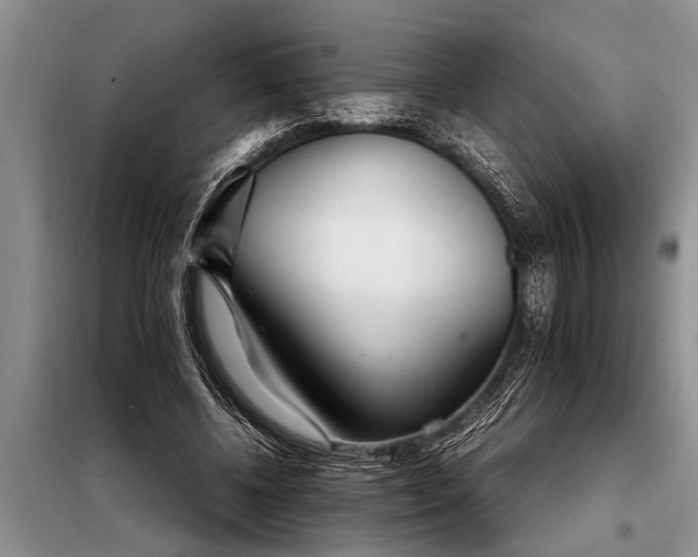 X0000097960540200804071033