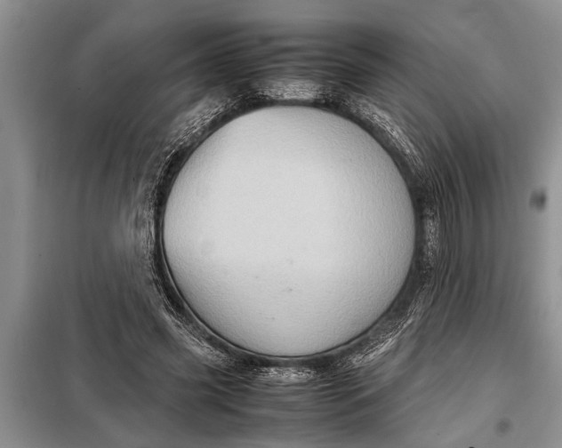 X0000097960541200804071033