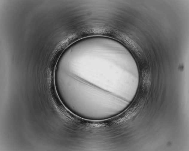 X0000097960542200804071033