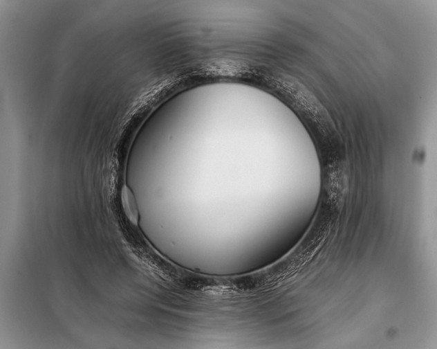 X0000097960544200804071033