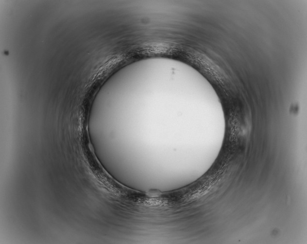 X0000097960546200804071033