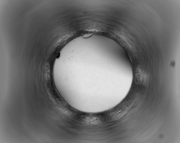 X0000097960547200804071033