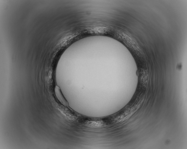 X0000097960548200804071033