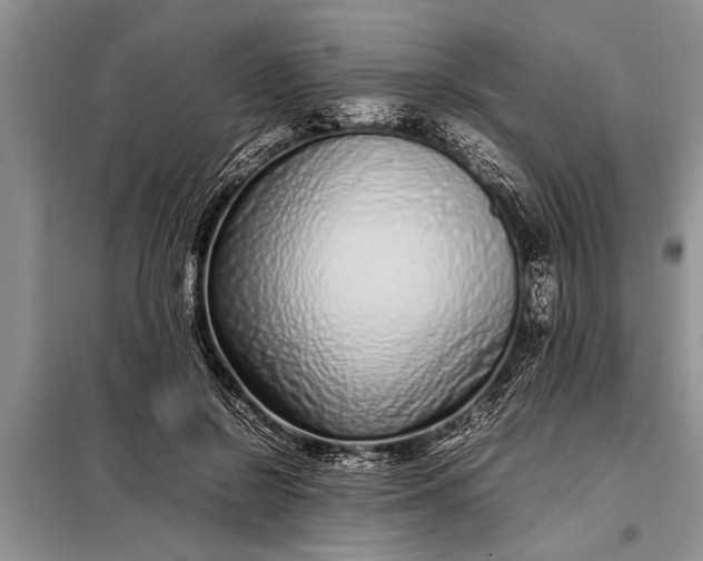 X0000097960550200804071033