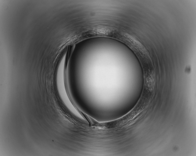 X0000097960552200804071034