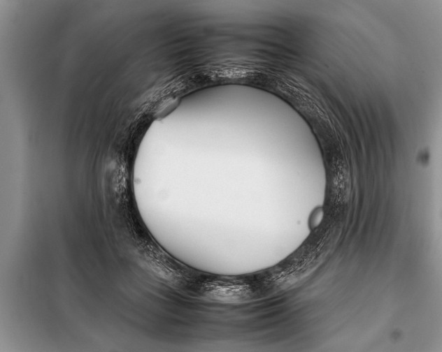 X0000097960555200804071034