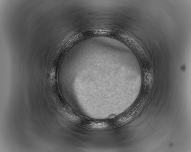X0000097960557200804071034