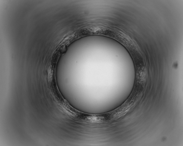 X0000097960558200804071034