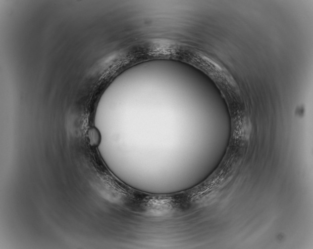 X0000097960560200804071034