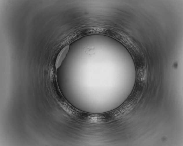 X0000097960564200804071034