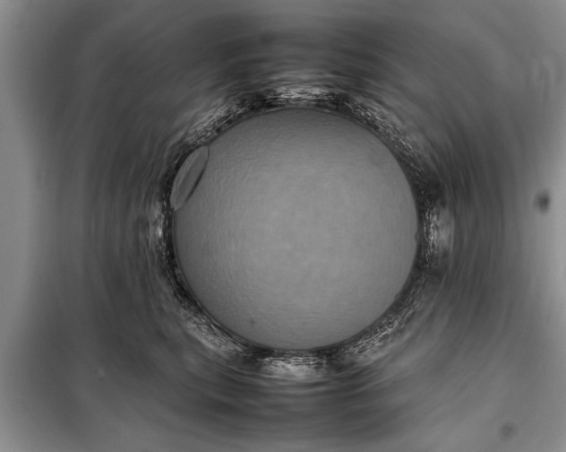 X0000097960567200804071034