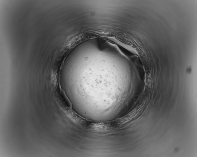 X0000097960568200804071034