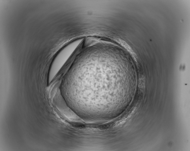 X0000097960577200804071033