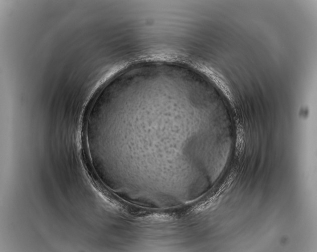 X0000097960578200804071033