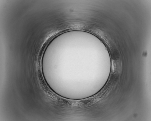 X0000097960579200804071033