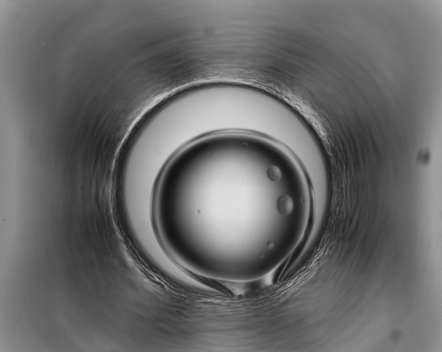 X0000097960580200804071033