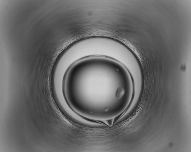X0000097960581200804071033