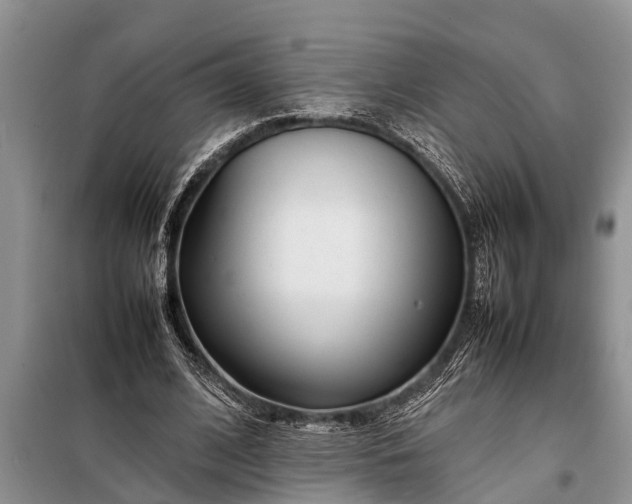 X0000097960584200804071033