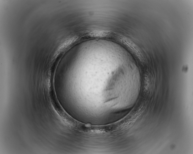 X0000097960586200804071033