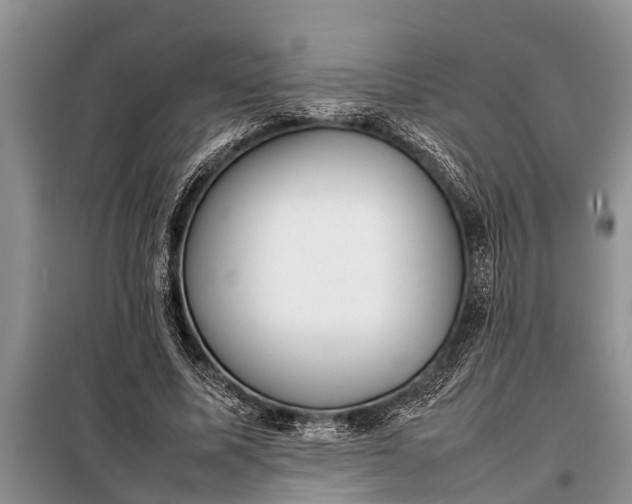X0000097960587200804071033