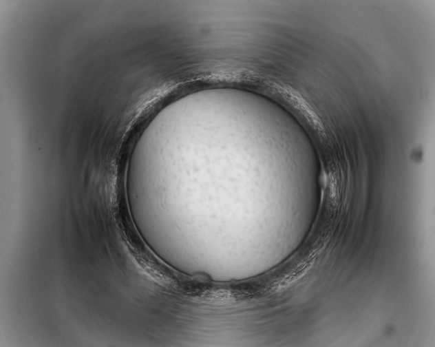 X0000097960588200804071033