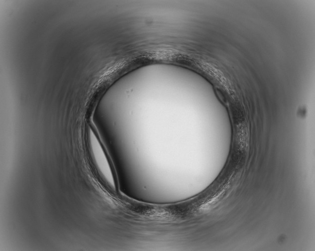 X0000097960589200804071033