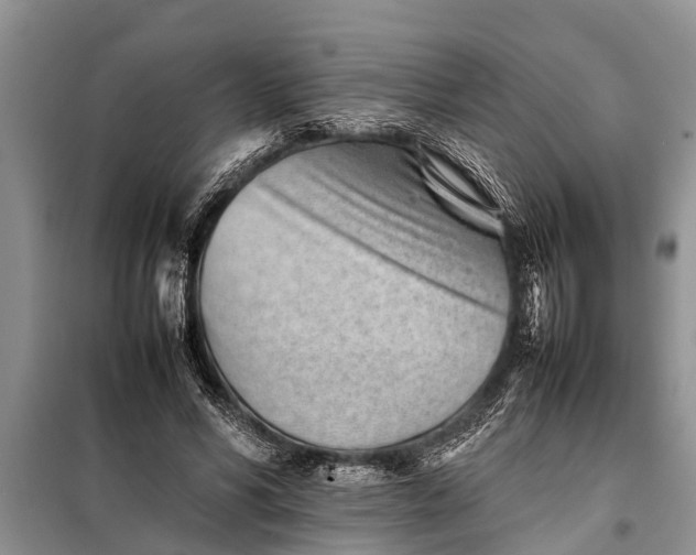 X0000097960590200804071033