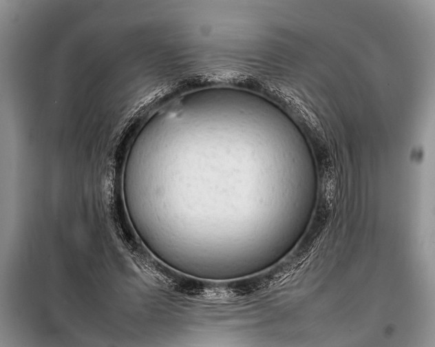 X0000097960591200804071033