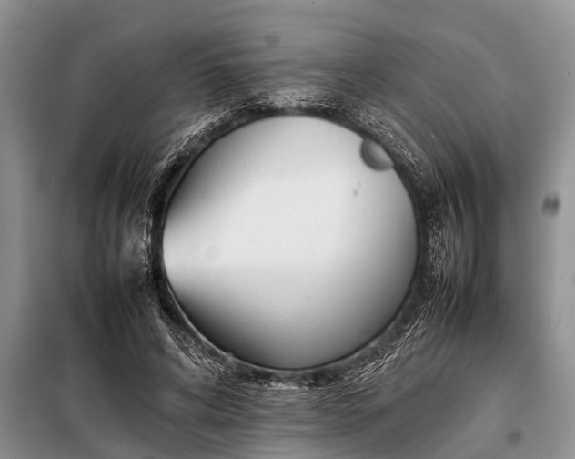 X0000097960592200804071033