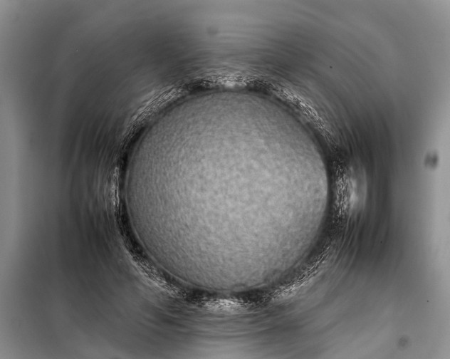 X0000097960594200804071033