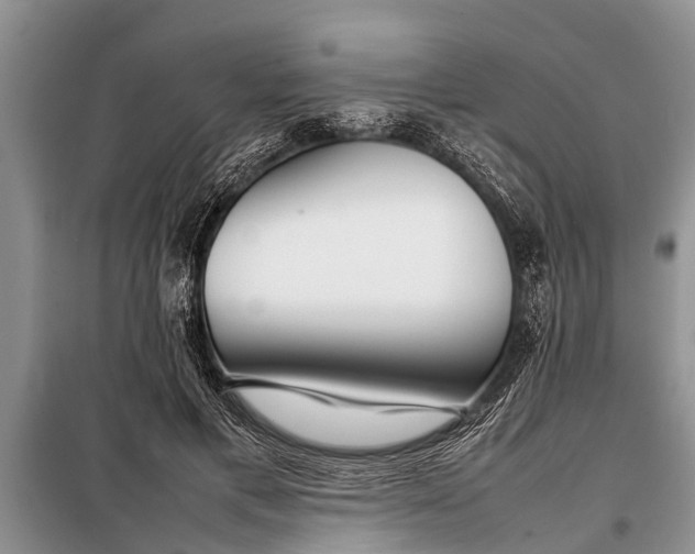X0000097960597200804071033