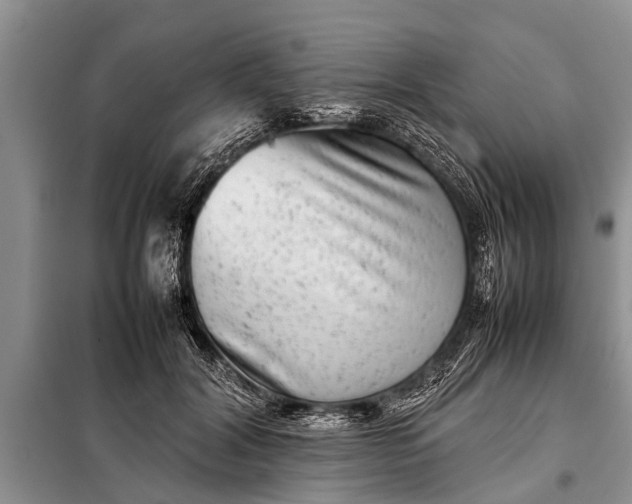 X0000097960604200804071032
