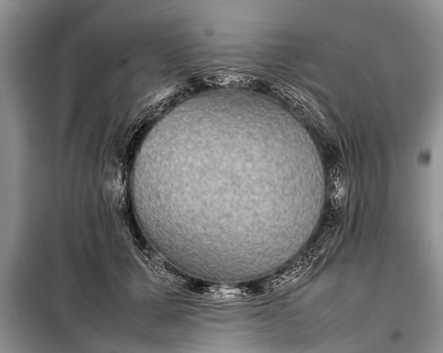X0000097960607200804071032