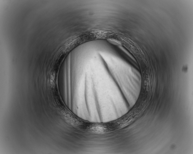 X0000097960610200804071032