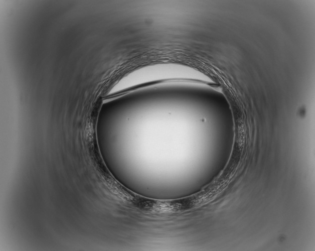 X0000097960613200804071032
