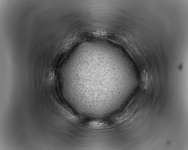 X0000097960614200804071032
