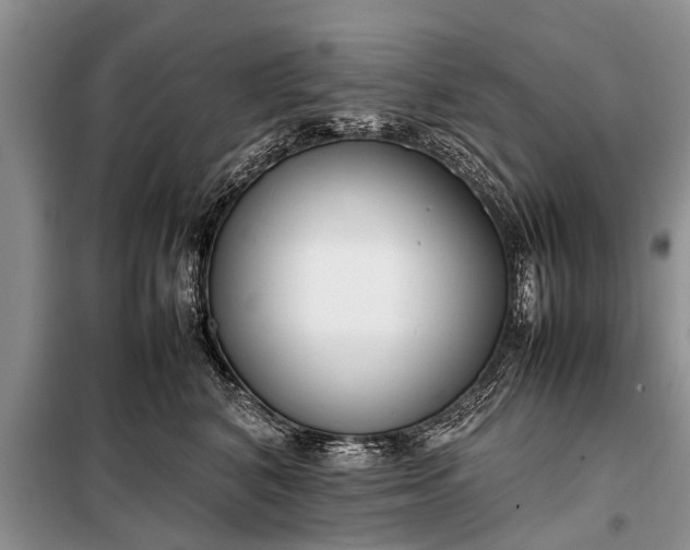 X0000097960616200804071032