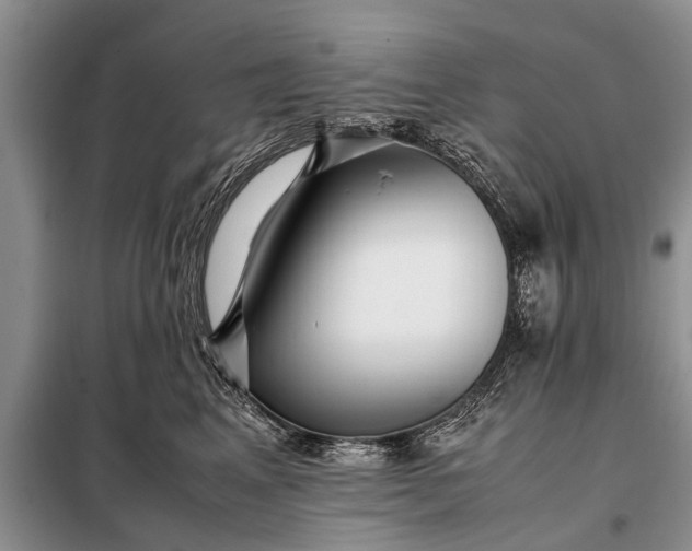 X0000097960617200804071032