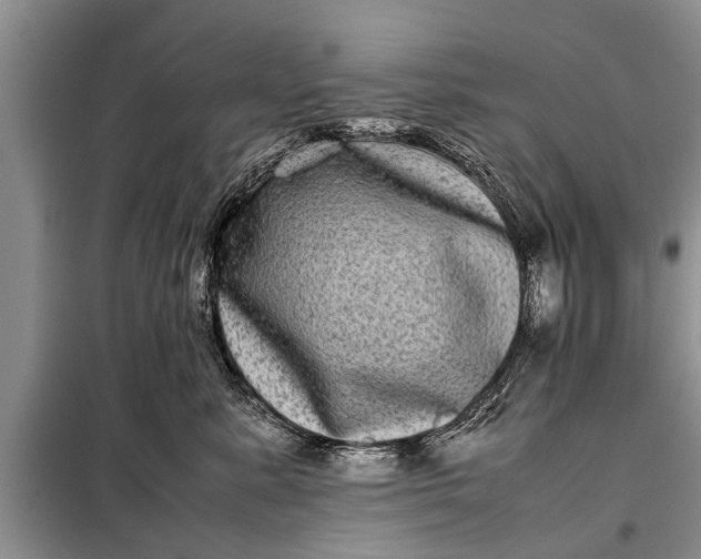 X0000097960619200804071032