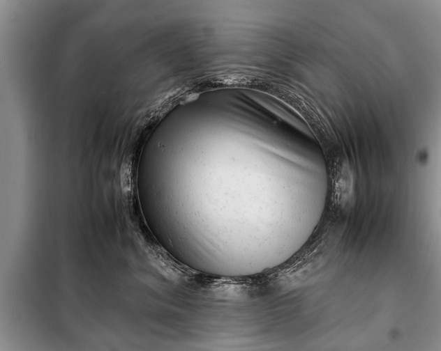 X0000097960620200804071032