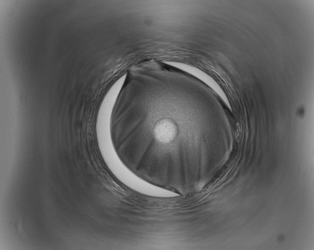 X0000097960621200804071032