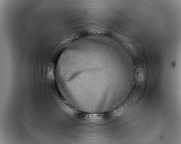 X0000097960622200804071032