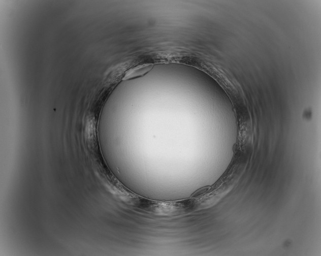 X0000097960623200804071032